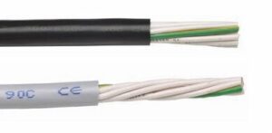 Flexible Multicore