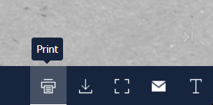 Flipbook icon bar